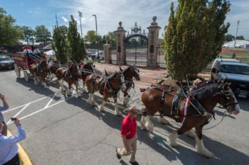 The historic Clydesdales ride past the historic Francis Field.